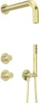 Deante Shower set with overhead shower head