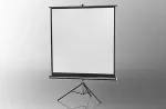 Celexon Stativleinwand Economy 133 x 133 cm - White Edition