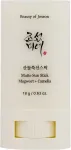 Beauty of Joseon Mugwort + Camelia Matte Sun Stick 18g - SPF50+ Face Sun Care naistele