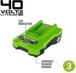 GREENWORKS 2932507 cordless tool battery / charger Battery charger