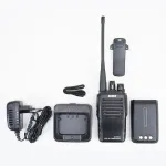 Alinco PMR kaasaskantav raadio IP67