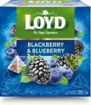 Loyd Tee p&otilde;ldmarja- ja mustika maitseline 20 x 2g