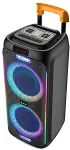 Denver TSP-456 Party speaker Black 60 W