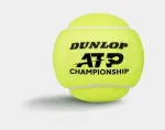 Dunlop Tennis balls ATP CHAMPIONSHIP Entry 3PET ITF