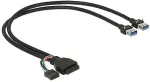DeLOCK Kabel USB 3.0 Pfostenbuchse + USB 2.0 Pfostenbuchse > 2 x USB 3.0 A Buchse 45 cm