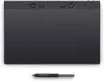 Digitaallaud WACOM graafikalaud Intuos Pro L (2025)