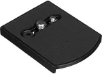Manfrotto kiirkinnitusplaat 410PL