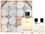 Hermes Terre d'Hermes 100ml - Eau de Toilette meestele