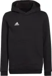 Adidas Sweatshirt for kids Entrada 22 Hoody black H57516 116cm