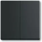 BUSCH-JAEGER BUSCH JAEGER BJ 1785-885 Abdeckung f.Serien-Wechsel- Schalter future linear schwarz matt