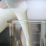 Taurus OPTIMA GO 1500 jug blender