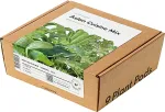 Click & Grow Plant Pod Asian Greens Mix 9tk