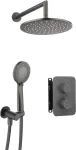 Deante Concealed shower set with thermostatic BOX