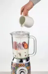 Ariete Blender Positano 00C05830PAR0
