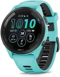 Garmin 753759313739