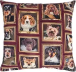 Home4you Padi HOLLY 45x45cm, lukuga, koerad raamis, 100% puuvill, kangas 438