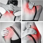Bodi-Tek BT-MAMG-EU/1,3 Deep Tissue Sports Massage Gun