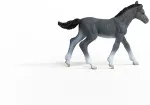 SCHLEICH HORSE CLUB Trakehner Foal