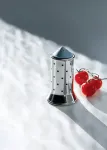 Alessi Salt Castor black MGSAL B