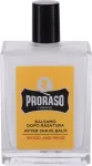 PRORASO Wood & Spice After Shave Balm 100ml - Aftershave Balm meestele