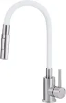 Deante Kitchen faucet with bent spout - 2 types of spray