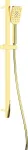 Deante 3-function shower set with rail