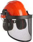 CLICS Protective helmet with mesh and earmuffs Climax 43
