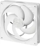 NONAME ARCTIC P14 PWM PST (white/white)