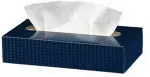 TORK Kosmeetilised salvr&auml;tikud Extra Soft F1, 20,8cmx20cm, 2-kih, 100 lehte, valge,140280
