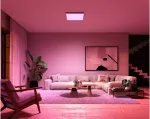Signify/Philips Philips Hue Surimu Square Panel Light, 60 x 60 cm | 2000-6500 Hue White Color Ambiance