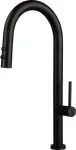 Deante Kitchen faucet with pull-out spout - 2 types of spray