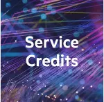 Hewlett & Packard Enterprise EPACK 1Y CREDITS QTY 30 SVCENVI F/ DEDICATED SERVER
