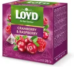 Loyd Tee j&otilde;hvika- ja vaarikamaitseline 20 x 2g