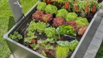 Gardena Micro-Drip-System Reihentropfer 2 l/h (dunkelgrau, 10 Stck, Modell 2023)