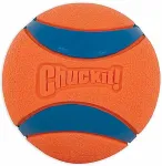 CHUCKIT! 17030 dog/cat toy