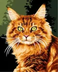 NORIMPEX Image Painting by numbers - 5D mosaic - Red cat