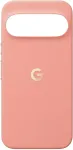 GOOGLE Pixel 11 Pro XL &uuml;mbris Canyon