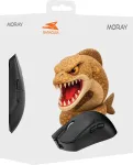 Baracuda BGM-131 MORAY Black