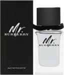Burberry Mr. Burberry EDT 50ml - tualettvesi meestele
