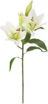 Home4you Kunstlill IN GARDEN H75cm, valge liilia