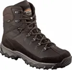 Meindl Rauris Lady GTX Female Adult Brown