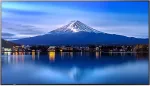 SHARP P656 65IN LFD UHD 700CD/M2 D-LE BACKLIGHT 24/7 PROOF SDM SLOT CM