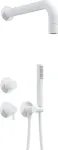 Deante Concealed shower set with hand shower