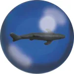 DELUXEBASE P&otilde;rkepall, hai