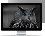 NATEC Owl Frameless display privacy filter 61 cm (24")