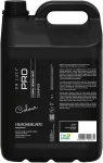 Dr Lucy Black & Silver - shampoo for dark coat for dogs - 5 L