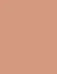 Shiseido UV Protective Compact Foundation Dark Beige 12g - SPF30 Makeup naistele