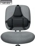 Fellowes Seljatugi Professional
