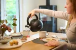 Tefal Non-Electric Kettle N4180410, Black, Matte