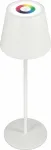 RealPower LED-RGB laualamp reguleeritava heledusega akuga, white